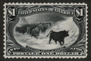 US-western-cattle-in-storm