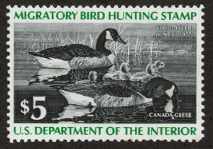 USRW-migratory-bird-hunting-5-cents
